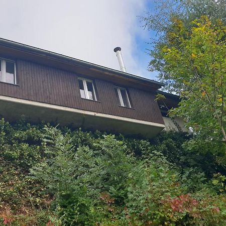 Ferienwohnung Auf Dem Bueckle Kleines Wiesental Dış mekan fotoğraf