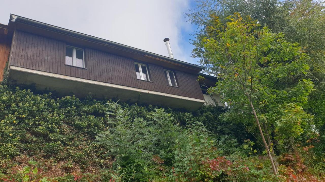 Ferienwohnung Auf Dem Bueckle Kleines Wiesental Dış mekan fotoğraf