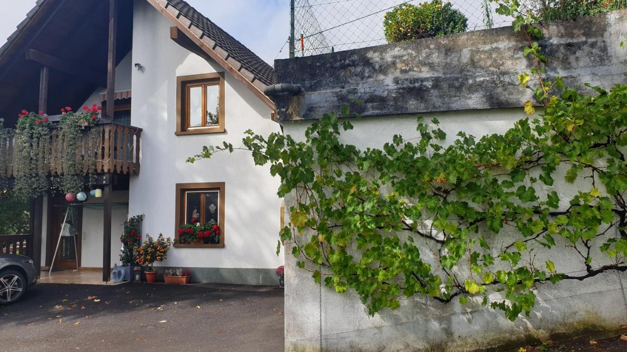 Ferienwohnung Auf Dem Bueckle Kleines Wiesental Dış mekan fotoğraf