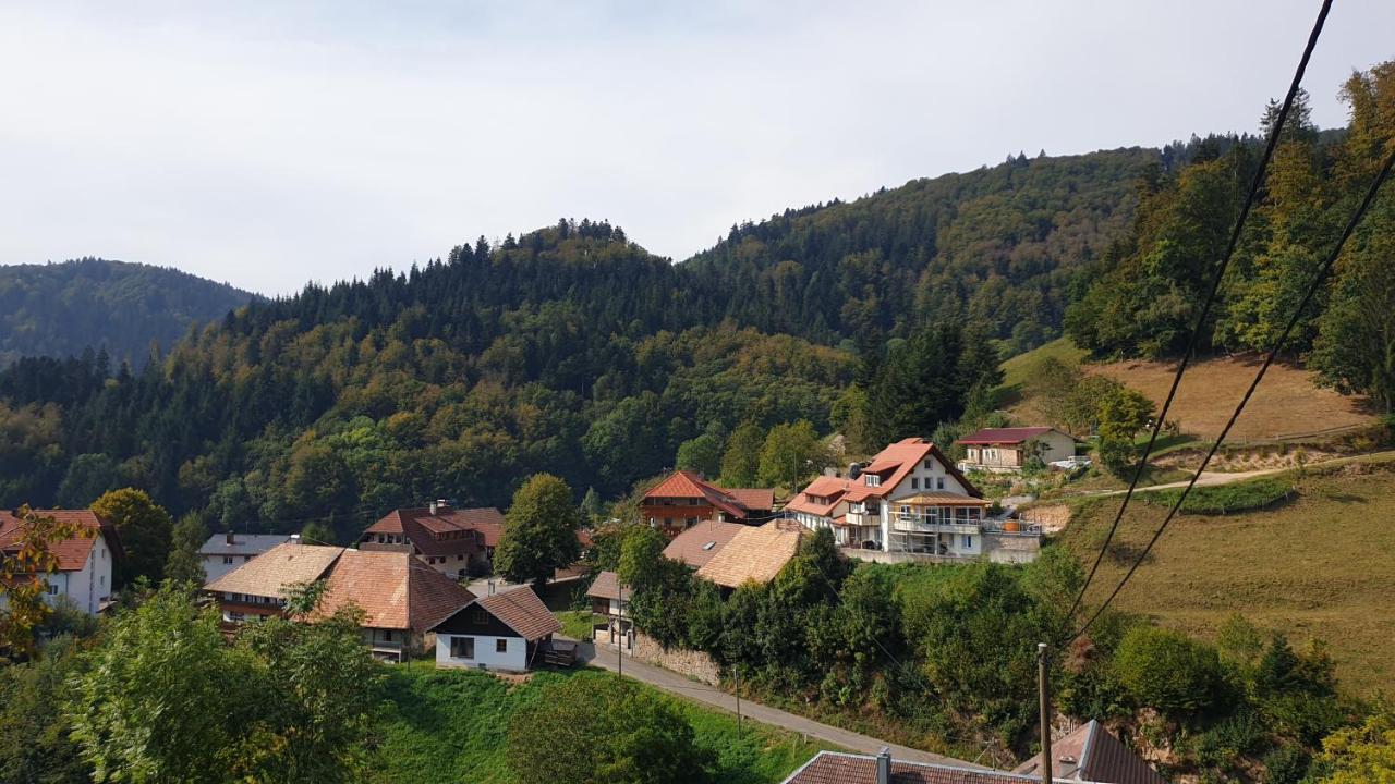 Ferienwohnung Auf Dem Bueckle Kleines Wiesental Dış mekan fotoğraf
