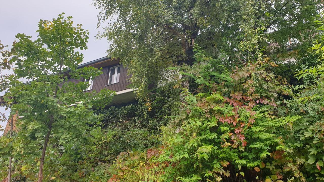 Ferienwohnung Auf Dem Bueckle Kleines Wiesental Dış mekan fotoğraf