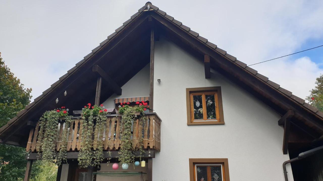 Ferienwohnung Auf Dem Bueckle Kleines Wiesental Dış mekan fotoğraf