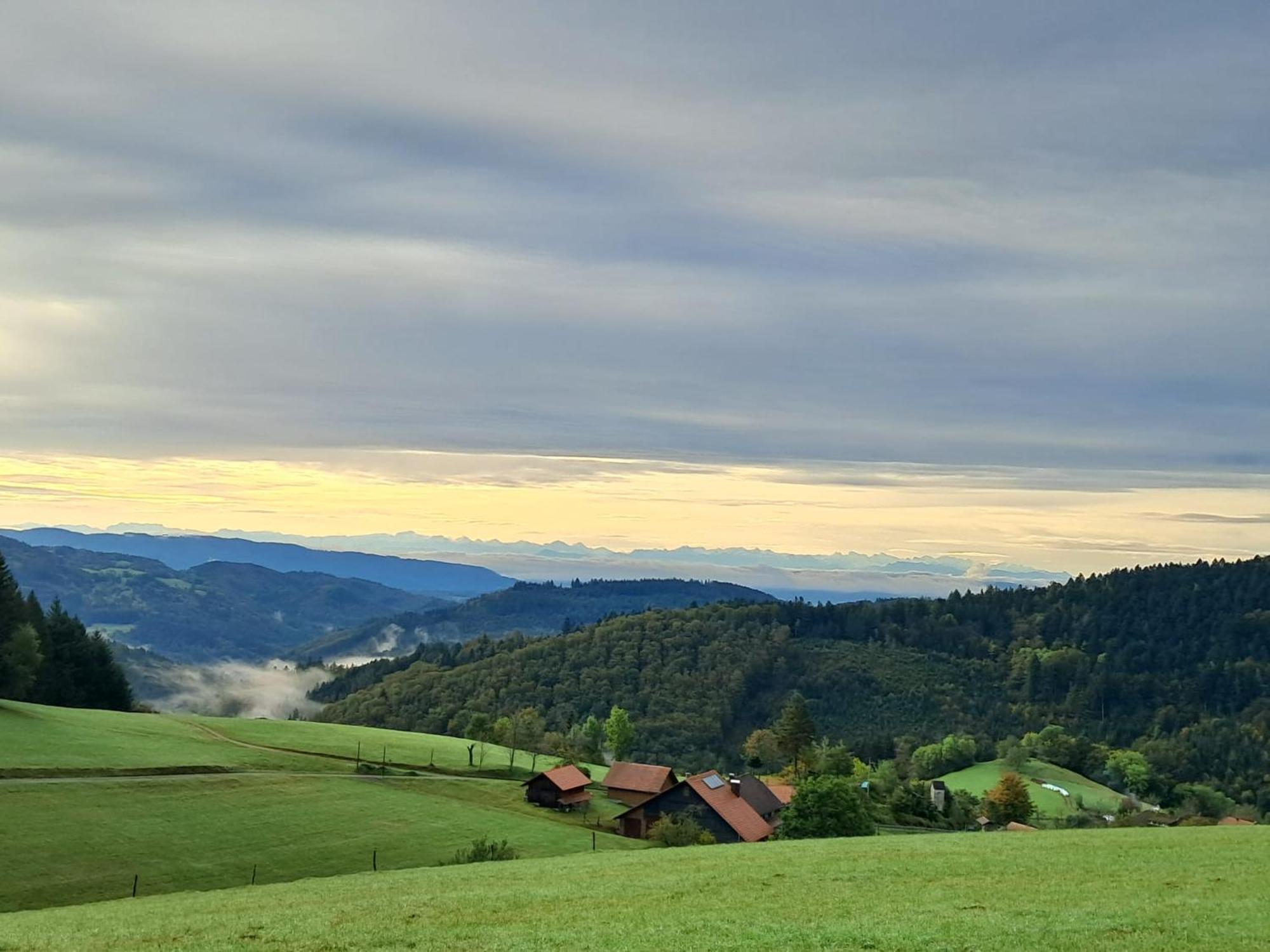 Ferienwohnung Auf Dem Bueckle Kleines Wiesental Dış mekan fotoğraf